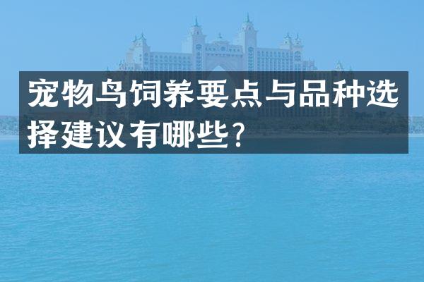 宠物鸟饲养要点与品种选择建议有哪些？