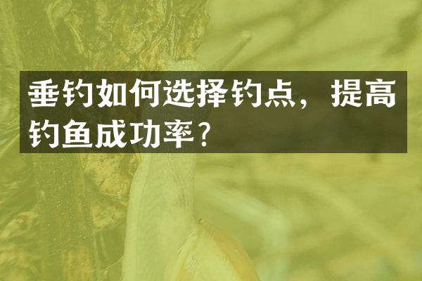 垂钓如何选择钓点，提高钓鱼成功率？