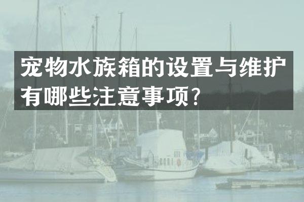 宠物水族箱的设置与维护有哪些注意事项？