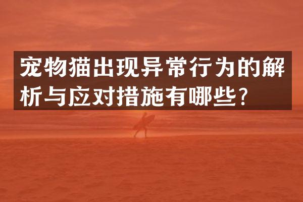 宠物猫出现异常行为的解析与应对措施有哪些？