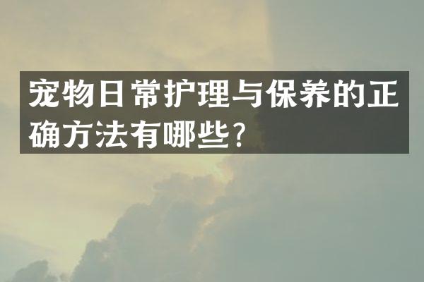 宠物日常护理与保养的正确方法有哪些？