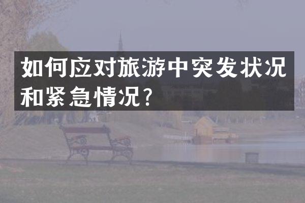 如何应对旅游中突发状况和紧急情况？