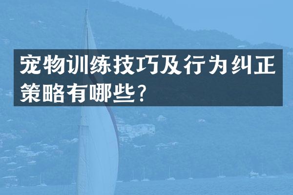 宠物训练技巧及行为纠正策略有哪些？