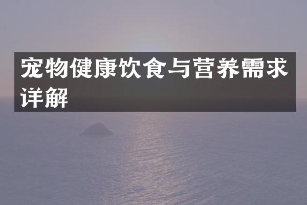 宠物健康饮食与营养需求详解
