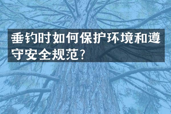 垂钓时如何保护环境和遵守安全规范？