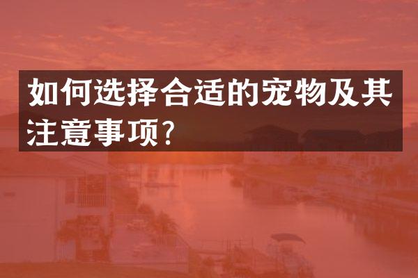 如何选择合适的宠物及其注意事项？