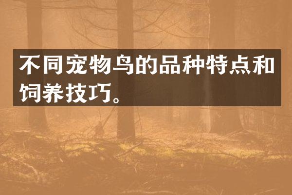 不同宠物鸟的品种特点和饲养技巧。