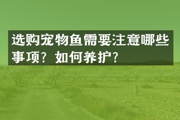 选购宠物鱼需要注意哪些事项？如何养护？