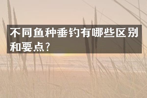 不同鱼种垂钓有哪些区别和要点？