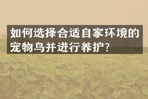 如何选择合适自家环境的宠物鸟并进行养护？