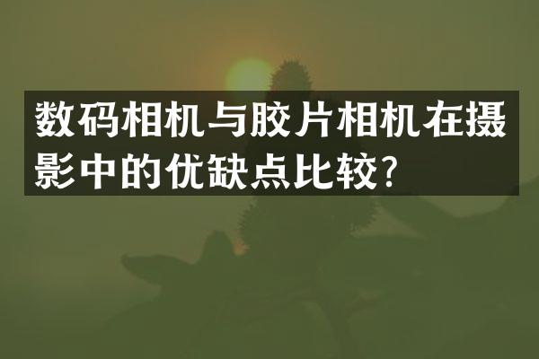 数码相机与胶片相机在摄影中的优缺点比较？