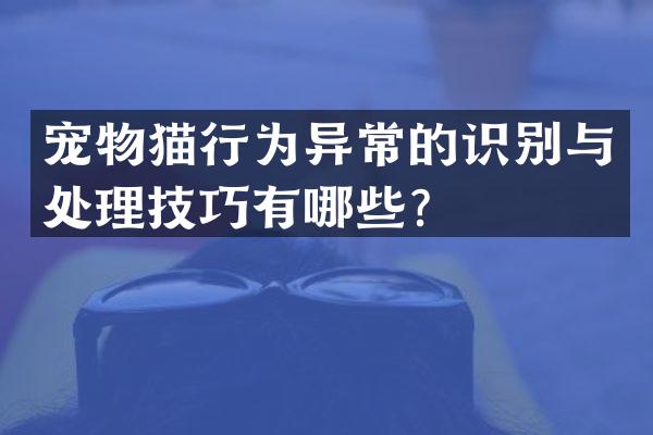 宠物猫行为异常的识别与处理技巧有哪些？