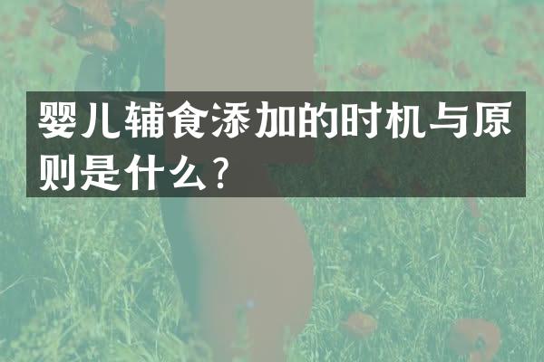婴儿辅食添加的时机与原则是什么？