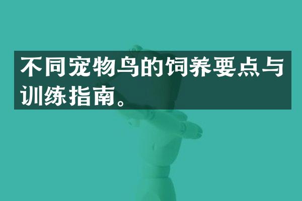 不同宠物鸟的饲养要点与训练指南。