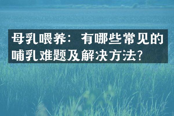 母乳喂养：有哪些常见的哺乳难题及解决方法？