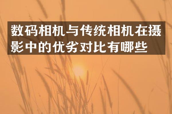数码相机与传统相机在摄影中的优劣对比有哪些？