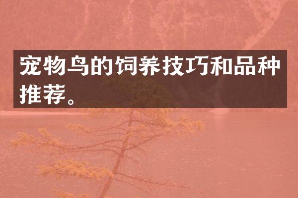 宠物鸟的饲养技巧和品种推荐。