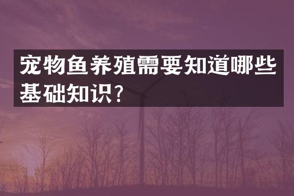 宠物鱼养殖需要知道哪些基础知识？