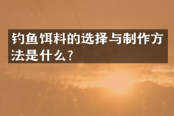 钓鱼饵料的选择与制作方法是什么？