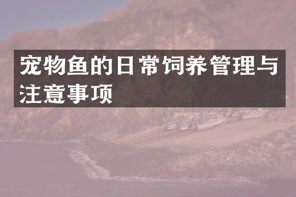 宠物鱼的日常饲养管理与注意事项