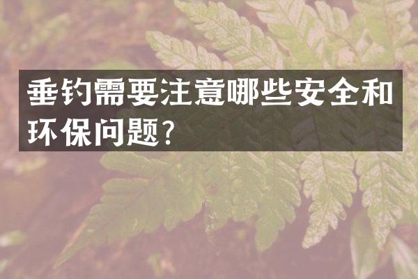 垂钓需要注意哪些安全和环保问题？