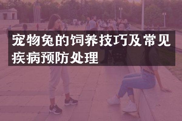 宠物兔的饲养技巧及常见疾病预防处理