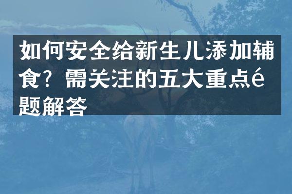 如何安全给新生儿添加辅食？需关注的五大重点问题解答