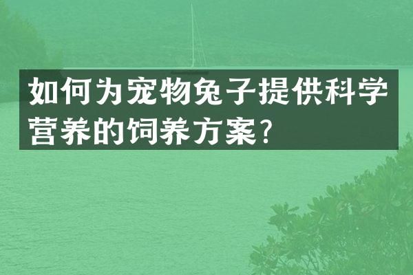 如何为宠物兔子提供科学营养的饲养方案？
