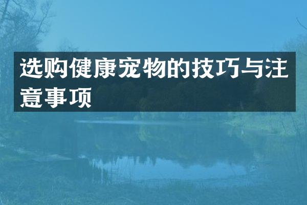 选购健康宠物的技巧与注意事项
