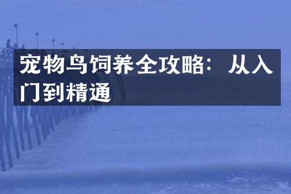 宠物鸟饲养全攻略：从入门到精通