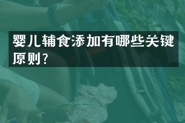 婴儿辅食添加有哪些关键原则？