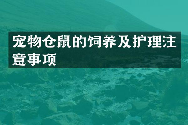 宠物仓鼠的饲养及护理注意事项