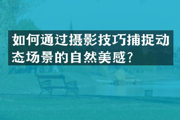 如何通过摄影技巧捕捉动态场景的自然美感？