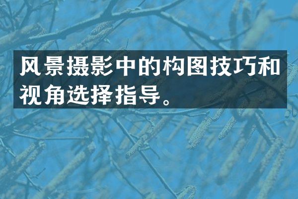 风景摄影中的构图技巧和视角选择指导。