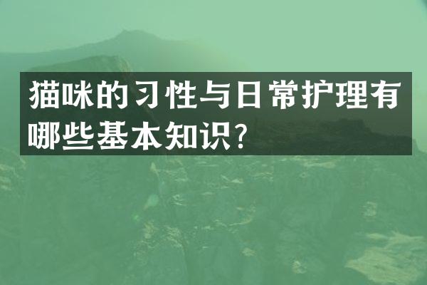 猫咪的习性与日常护理有哪些基本知识？