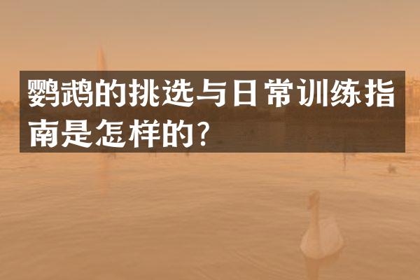 鹦鹉的挑选与日常训练指南是怎样的？