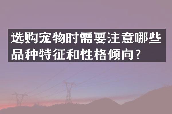 选购宠物时需要注意哪些品种特征和性格倾向？
