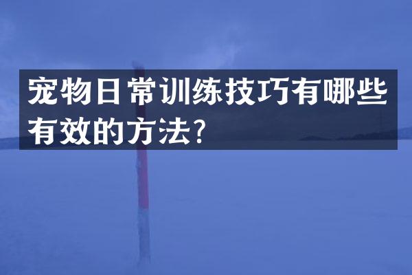 宠物日常训练技巧有哪些有效的方法？
