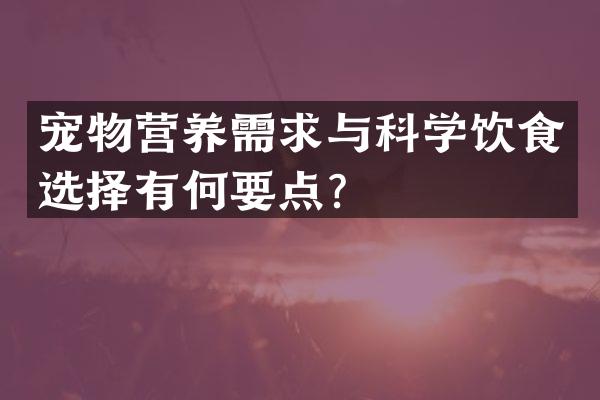 宠物营养需求与科学饮食选择有何要点？