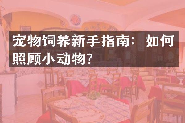 宠物饲养新手指南：如何照顾小动物？