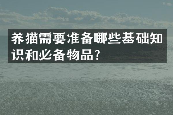 养猫需要准备哪些基础知识和必备物品？