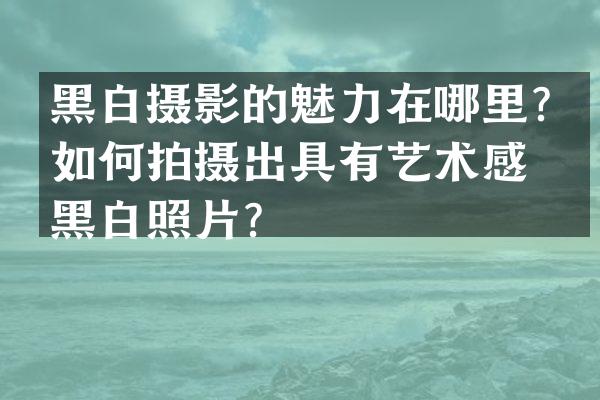 黑白摄影的魅力在哪里？如何拍摄出具有艺术感的黑白照片？