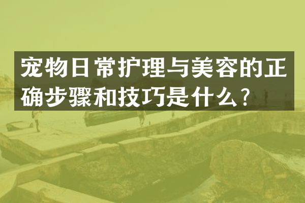 宠物日常护理与美容的正确步骤和技巧是什么？