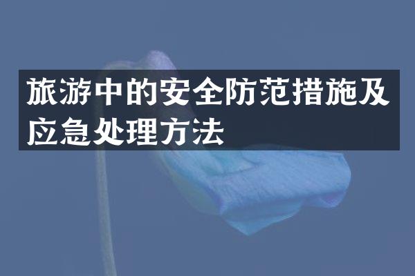 旅游中的安全防范措施及应急处理方法