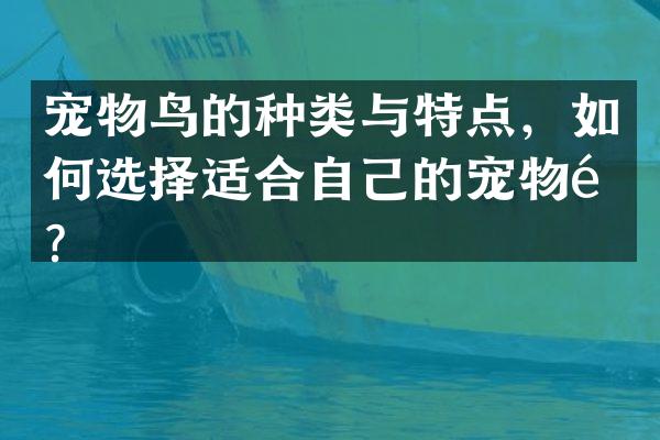 宠物鸟的种类与特点，如何选择适合自己的宠物鸟？