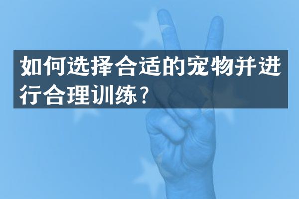 如何选择合适的宠物并进行合理训练？