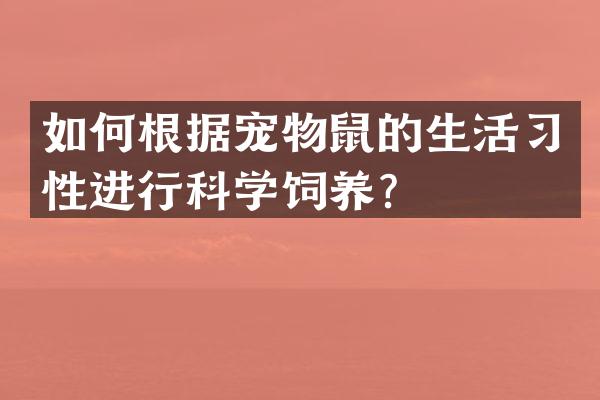 如何根据宠物鼠的生活习性进行科学饲养？