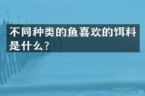 不同种类的鱼喜欢的饵料是什么？
