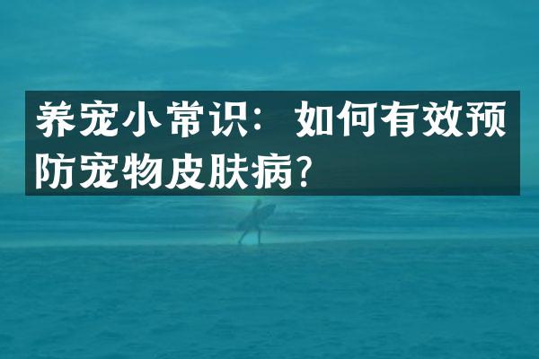 养宠小常识：如何有效预防宠物皮肤病？