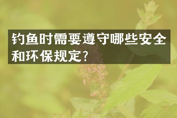 钓鱼时需要遵守哪些安全和环保规定？